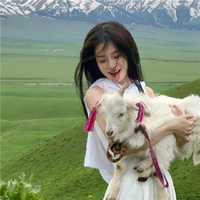 堡垒坚石国语 在线观看