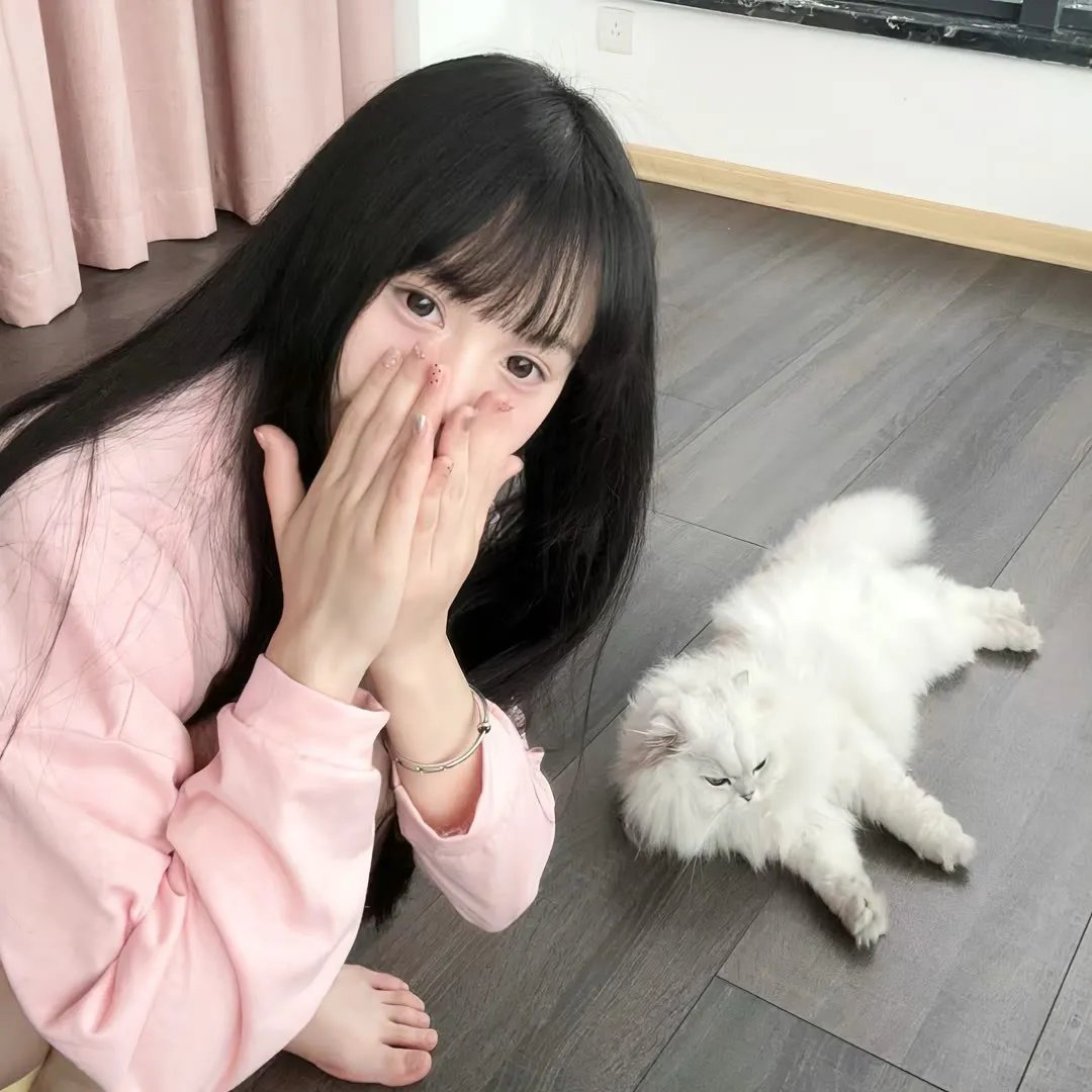 麻婆岛2 在线观看
